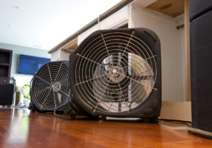 Drying & Dehumidification Services in Little Elm